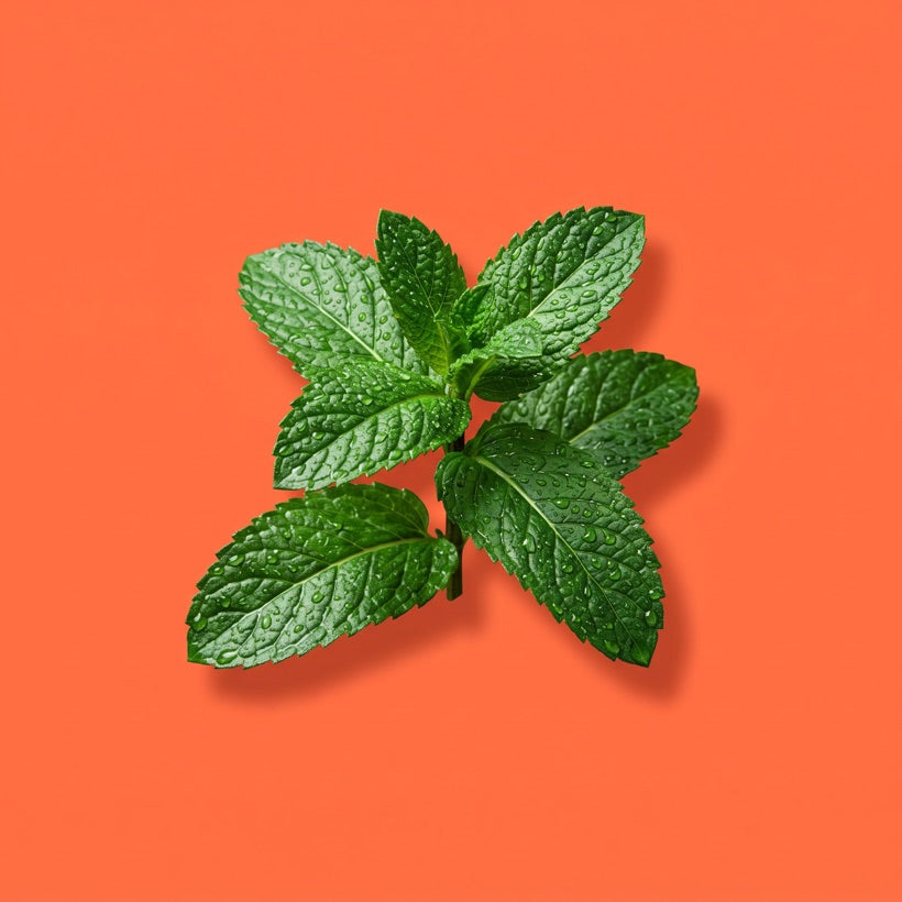 Peppermint